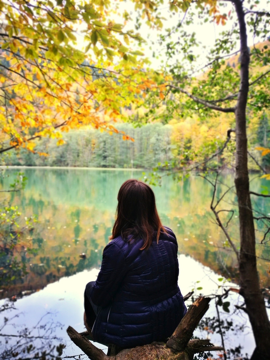 Woman in Black Jacket Sitting on Tree Log Near Lake